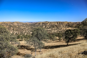 California Blacktail Country